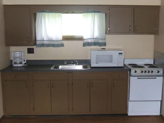 Red Carpet Inn On The Lake - Oneonta Servizi foto