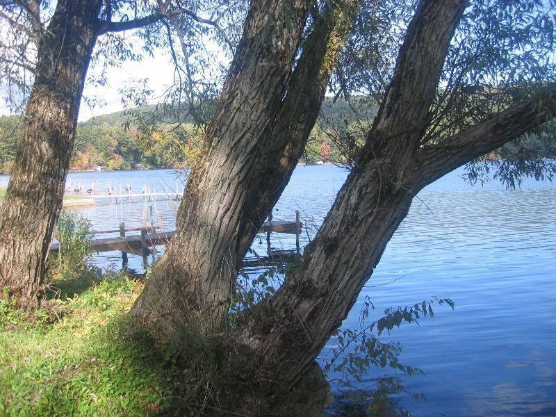 Red Carpet Inn On The Lake - Oneonta Esterno foto